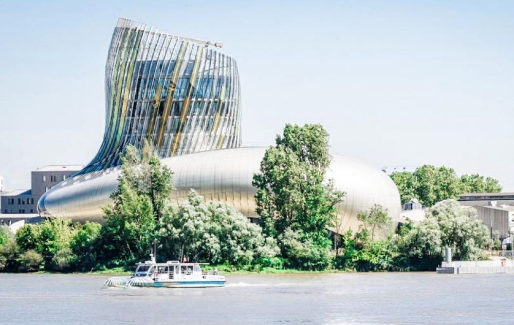 visiter Bordeaux en famille - vin